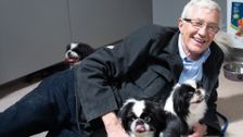 S8 E7: Paul O'Grady: For the Love of Dogs