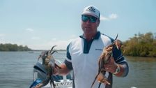 S4 E7: Step Outside with Paul Burt
