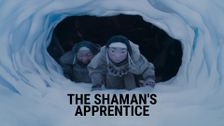 The Shaman's Apprentice