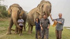 S1 E1: Paul O'Grady: For the Love of Animals - India