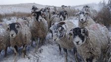 S1 E1: Winter