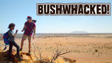Bushwhacked!