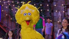 S55 E30: Big Bird's Big Solo