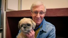 S3 E4: Paul O'Grady: For the Love of Dogs