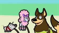 S3 E3: A Dog's Life