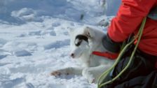 S4 E8: Ski Rescue Downunder
