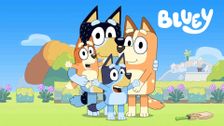 Bluey