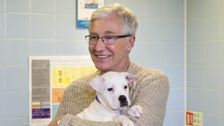 S3 E10: Paul O'Grady: For the Love of Dogs