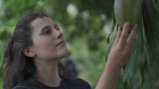 S2 E4: Kew Gardens: Season by Season