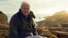 S1 E1: Our Precious Isles
