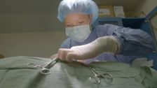 S9 E2: Bondi Vet: Coast to Coast