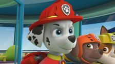 S1 E9: Pups save the treats; Pups get a lift