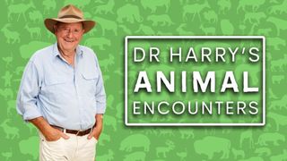 Dr Harry's Animal Encounters