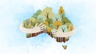 Australia's Favourite Tree