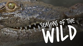 Seasons of the Wild