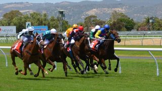 Australasian Racing Year