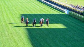 Famous Five - Caulfield Cup