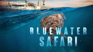 Bluewater Safari