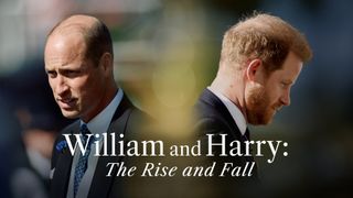 William and Harry: The Rise and Fall