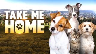 Take Me Home