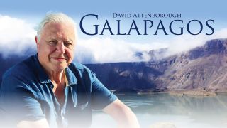 David Attenborough's Galapagos
