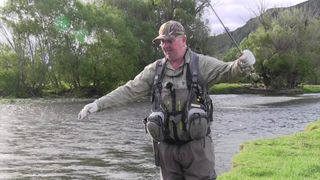 On the Fly