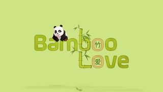 Bamboo Love
