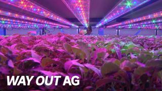 Way Out AG
