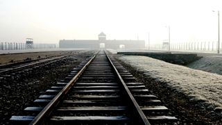 Auschwitz: The Inside Man