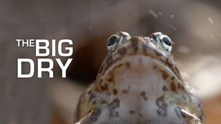 The Big Dry
