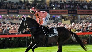 Champions - Black Caviar