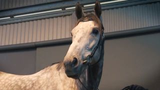 Chautauqua - A New Journey