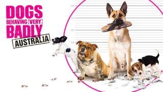 Dogs Behaving (Very) Badly Australia