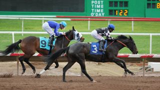 Champions of Racing