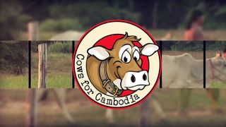 Cows For Cambodia
