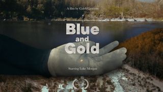 Blue and Gold