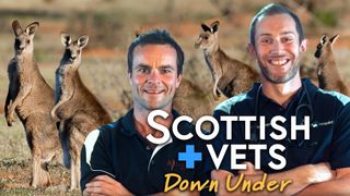 Scottish Vets Down Under