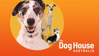 The Dog House Australia