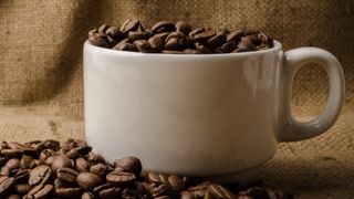 The Story of Coffee