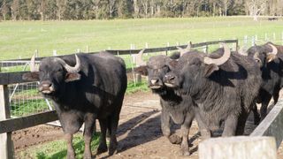 Unusual Farmers