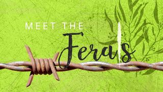 Meet the Ferals
