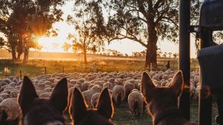 Landline: 30th Anniversary Special