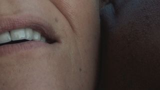 The Salamander