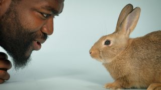 The Hidden Lives of Pets