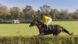 Craig Newitt: Seven Days