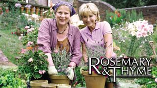 Rosemary and Thyme
