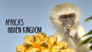 Africa's Hidden Kingdoms