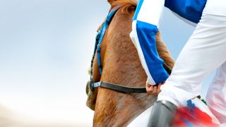 Flashback - Classic Melbourne Cups