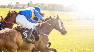 Flashback - Blue Diamond Stakes