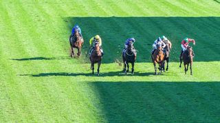 Flashback - Makybe Diva Stakes